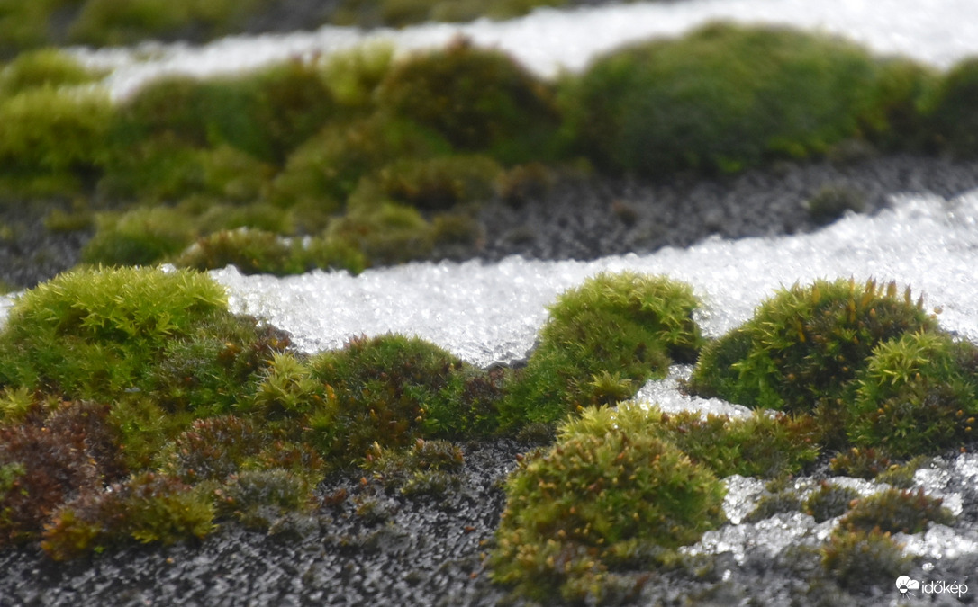 Tél az őszben (Szombathely, 11.20.)