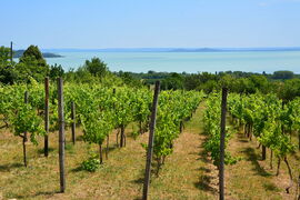 Balatongyöröki panoráma 06.20.