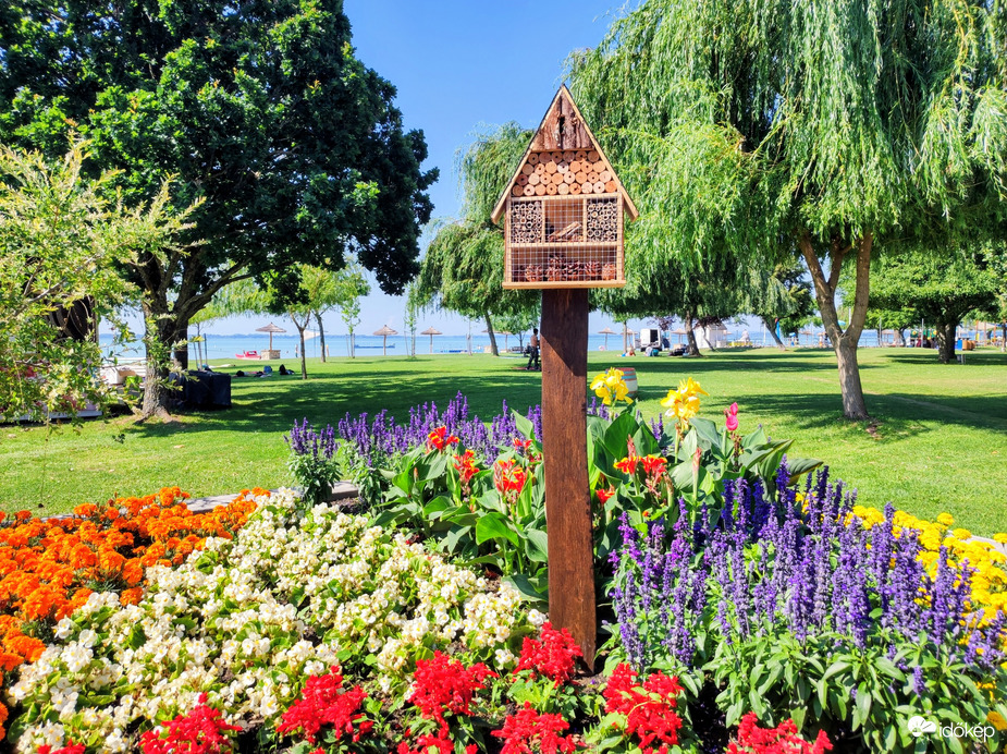 Balaton