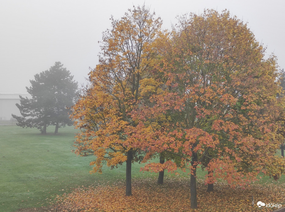 Ködös délelőtt Szombathelyen 10.28.