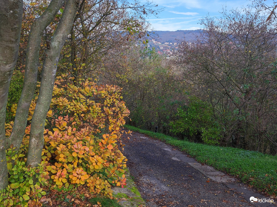 Jelenleg Vonyarcvashegyen