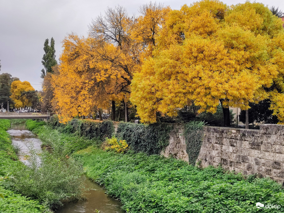 Ősz Egerben 10.11.