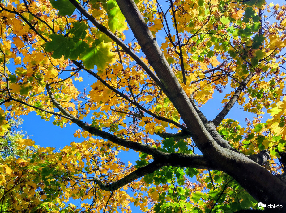 Október végén 10.29.