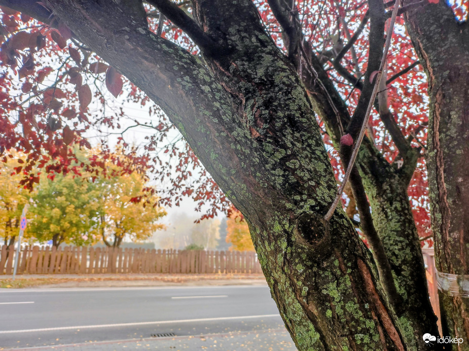 Ködös délelőtt 11.15.