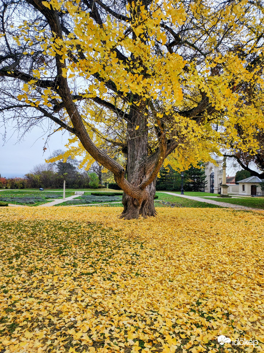 November közepén 11.16.