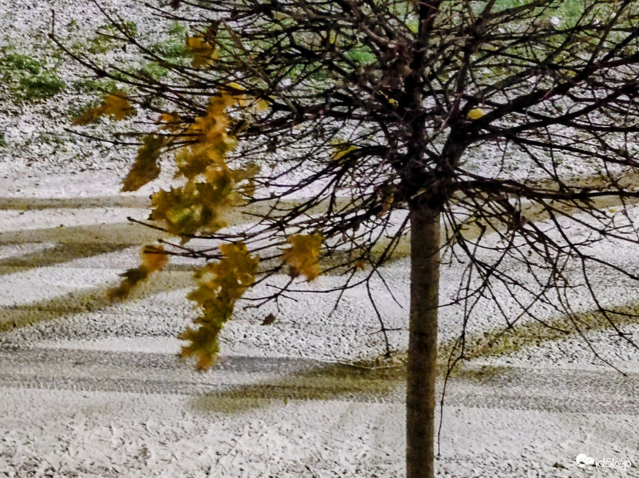 Jelenleg Szombathelyen 11.22.