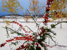Ősz és tél találkozása 11.23. 