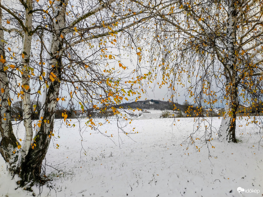 Ősz és tél találkozása 11.23. 
