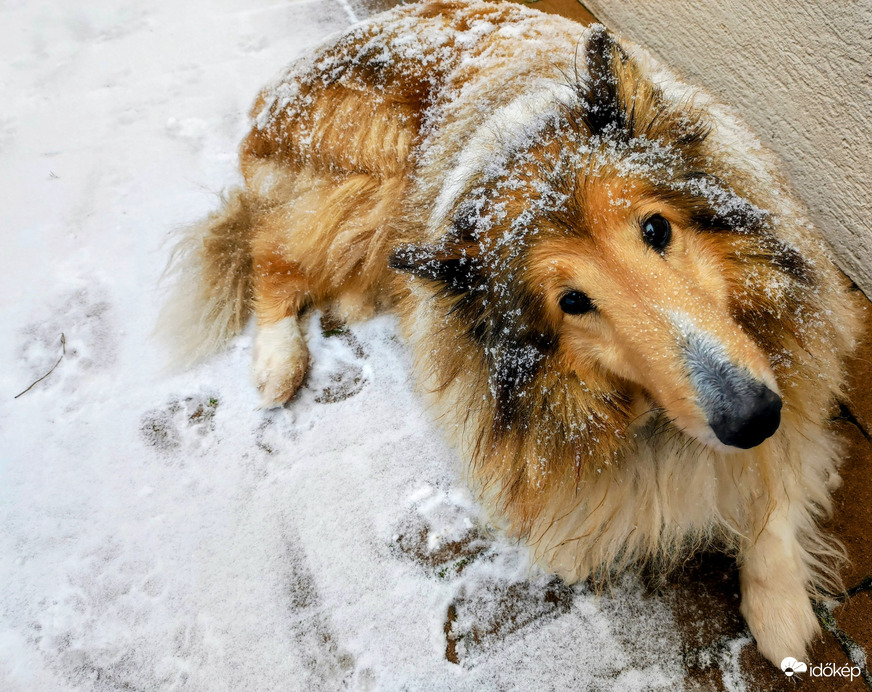 Ez most komoly? Még mindig hull a hó? :))