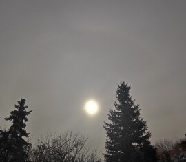 Halvány naphalo 01.12.