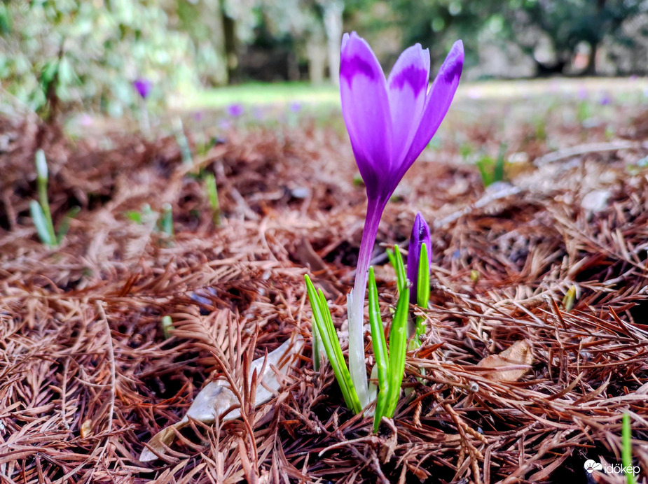 Jön a tavasz 02.13.