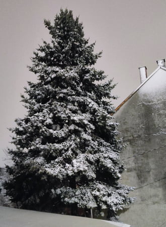 Intenzív hófúvás Szombathelyen 02.20.