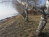 Balatonfőkajár