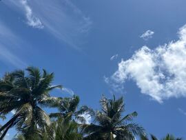Kandholhudhoo