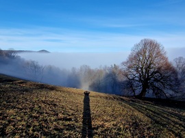 Hidegpárna felett kék az ég! Normafa