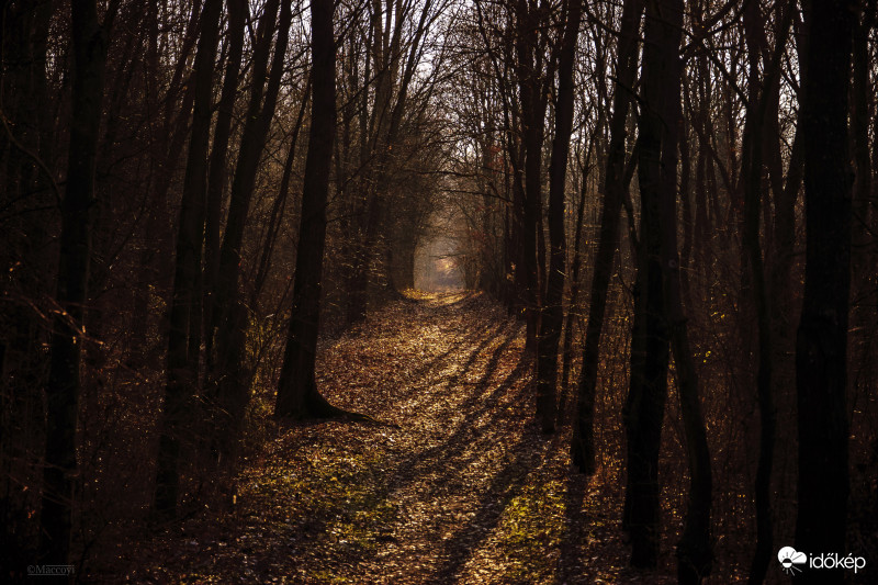 Úton a tavasz felé!?