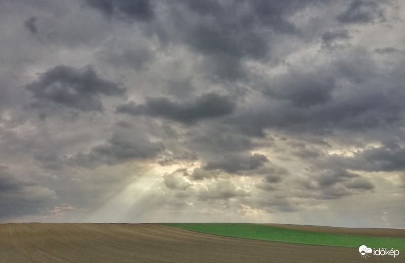 Horizontális hullámok. 