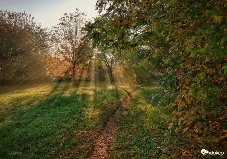 Párás reggel. 