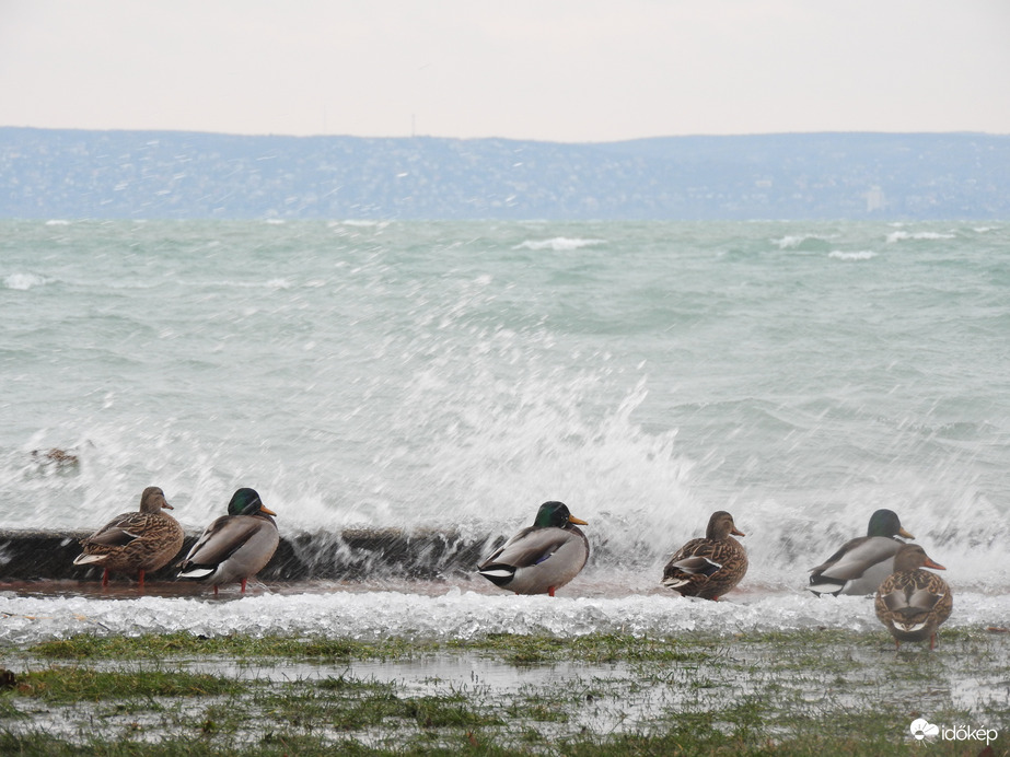 Téli Balaton