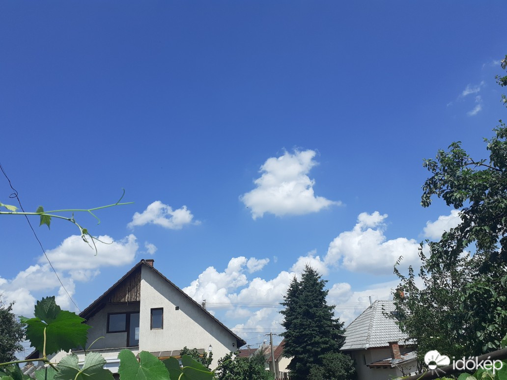 Kerekharaszt