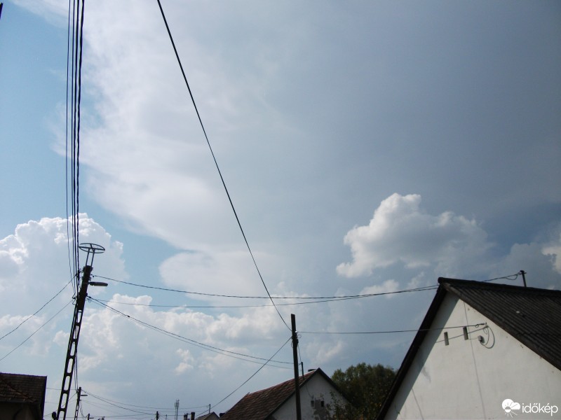 Báta