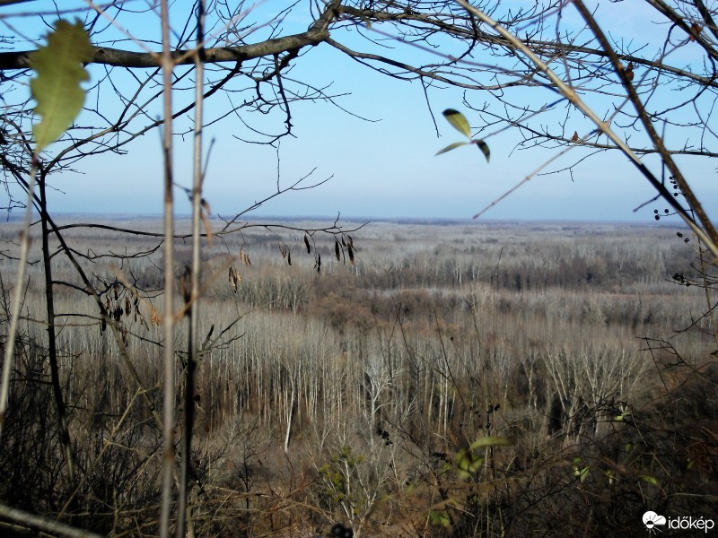 Báta