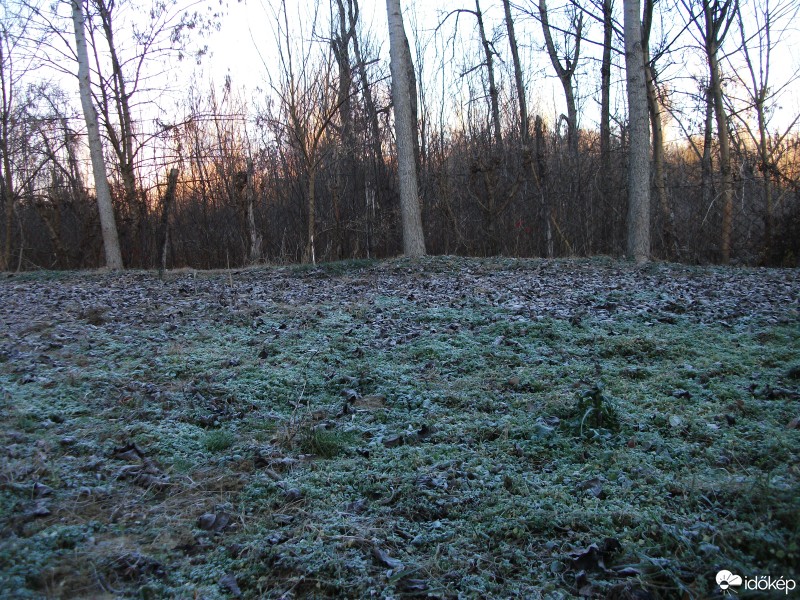 Báta