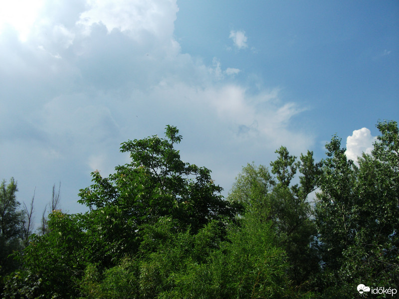 Báta