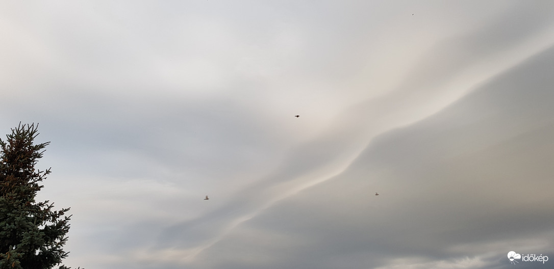 Észlelési fényképek