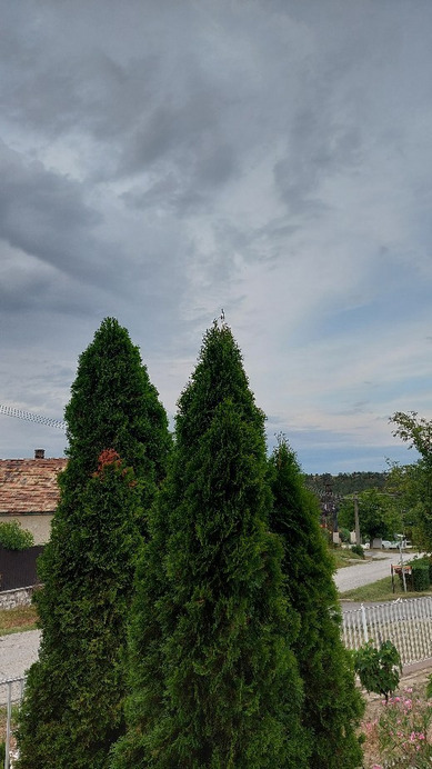Bajna
