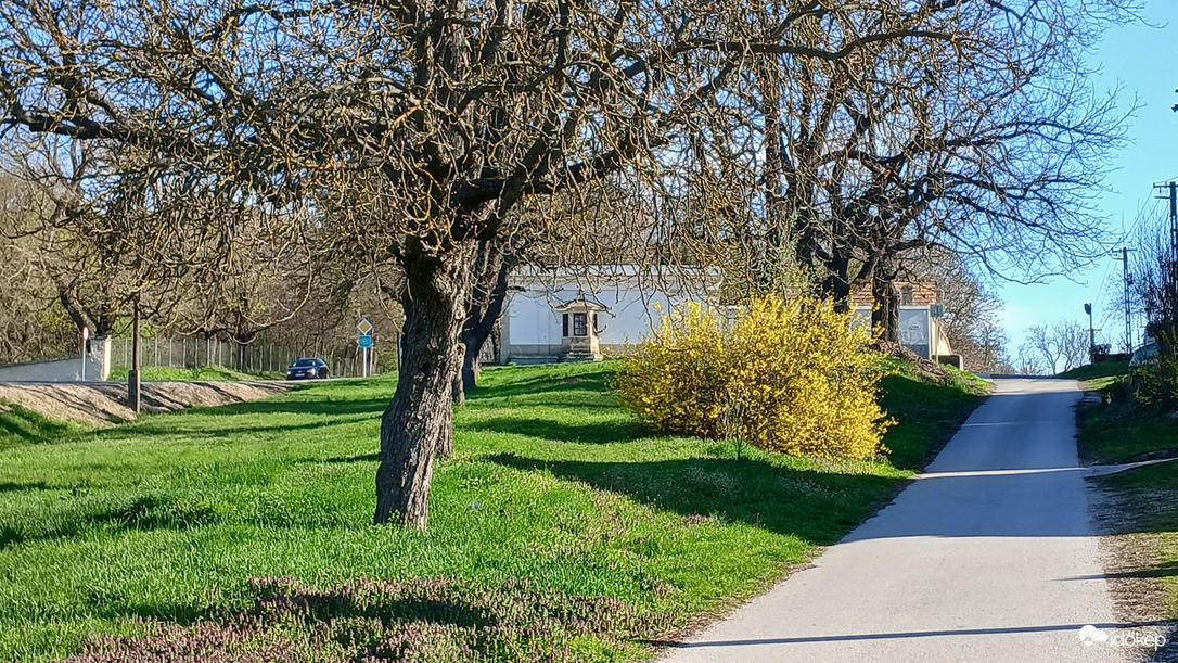 Bajna