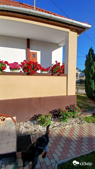 Bajna