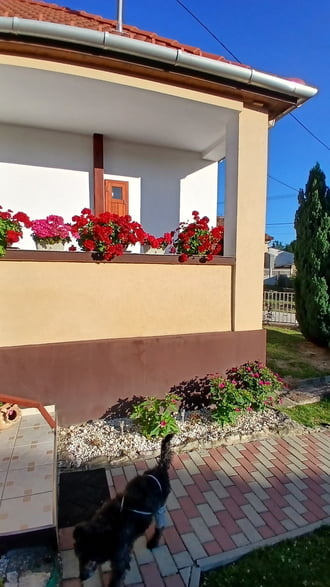 Bajna