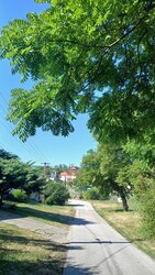 Bajna