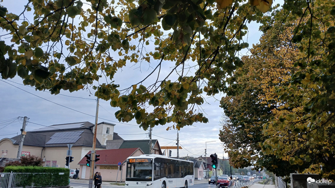 Bajna