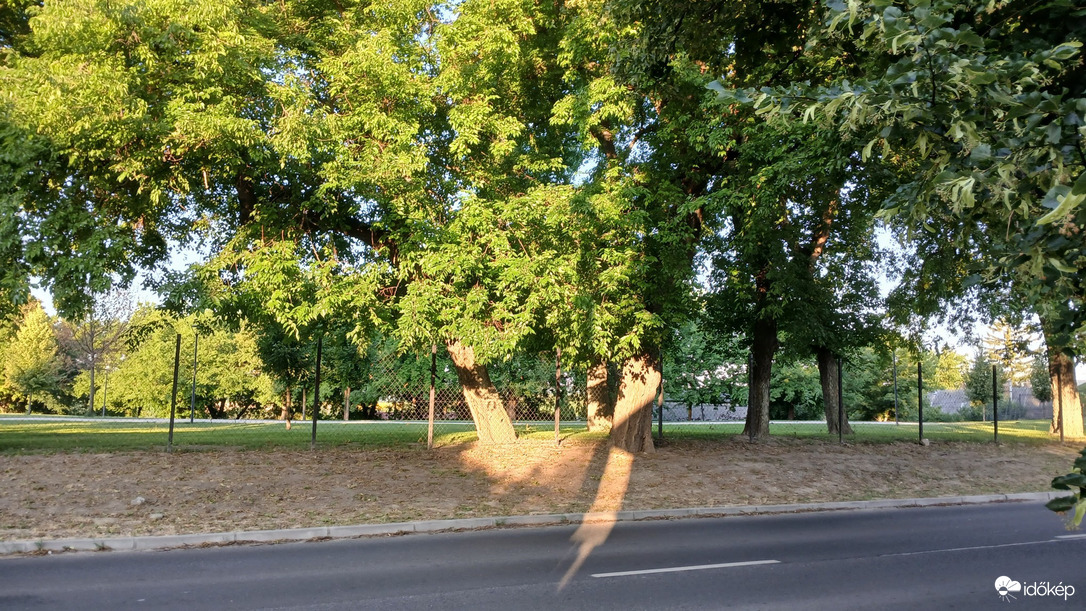 Bajna
