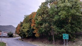 Bajna