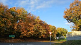 Bajna