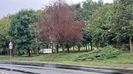 Bajna