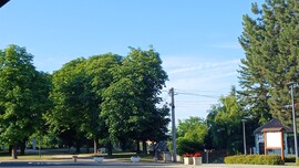 Bajna