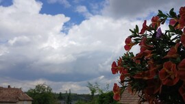 Bajna
