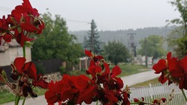 Bajna