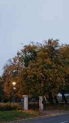 Bajna