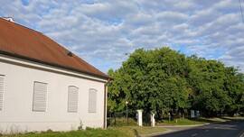 Bajna
