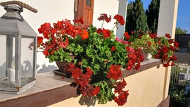 Bajna