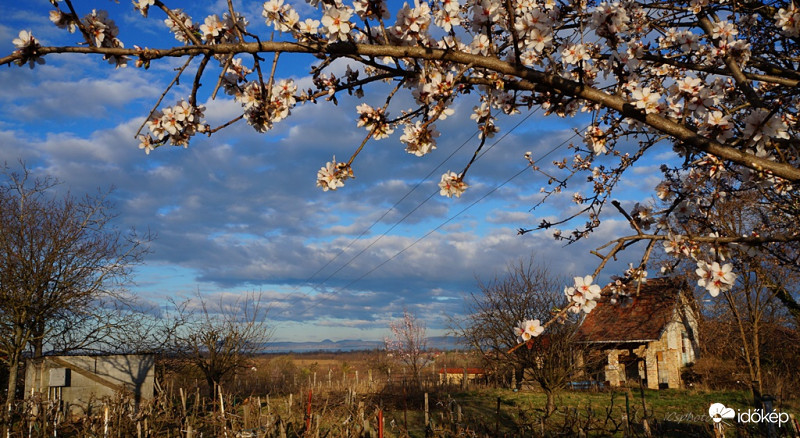 Tavasz a Balatonnál