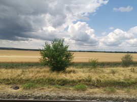 Baracska