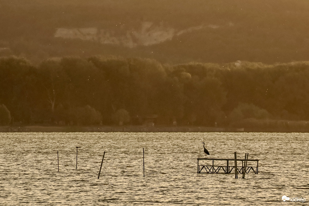 Balaton