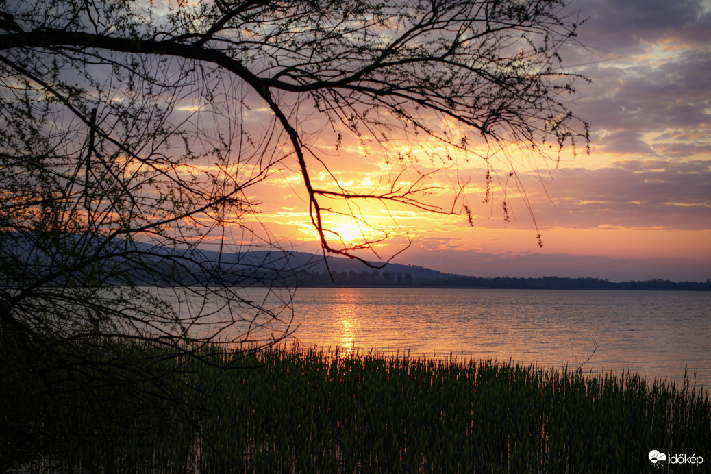Halkan suttog a tavasz
