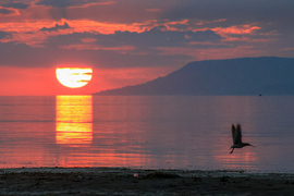 Balatonföldvár